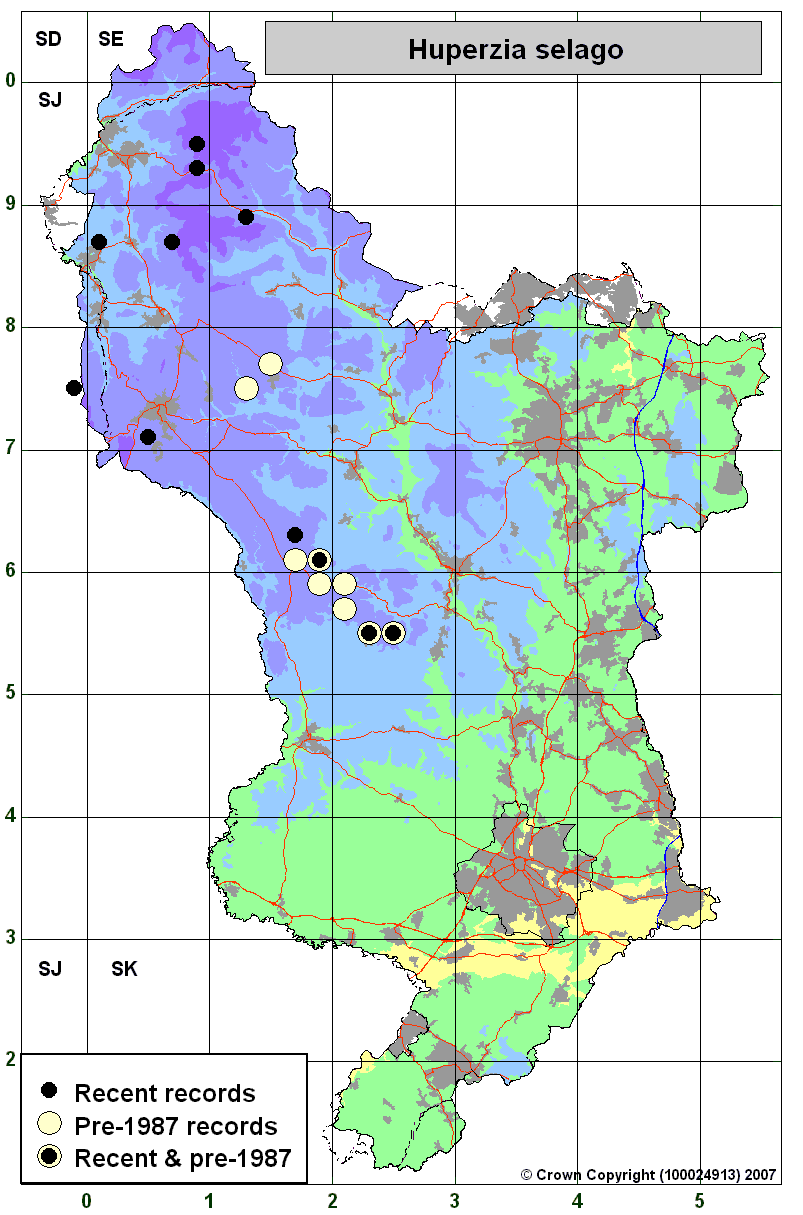 Dmap Example Report DMAP: Example Maps